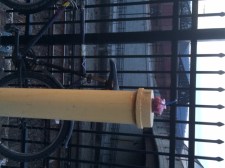 I never go to Hastings, so I found other things, too...